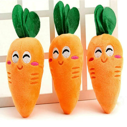 Chew Chew Carrot Toy