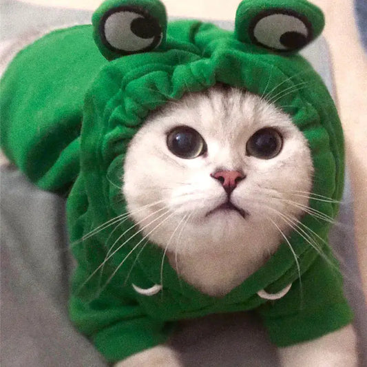 Cute AndCozy Costumes For Pet