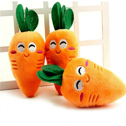 Chew Chew Carrot Toy