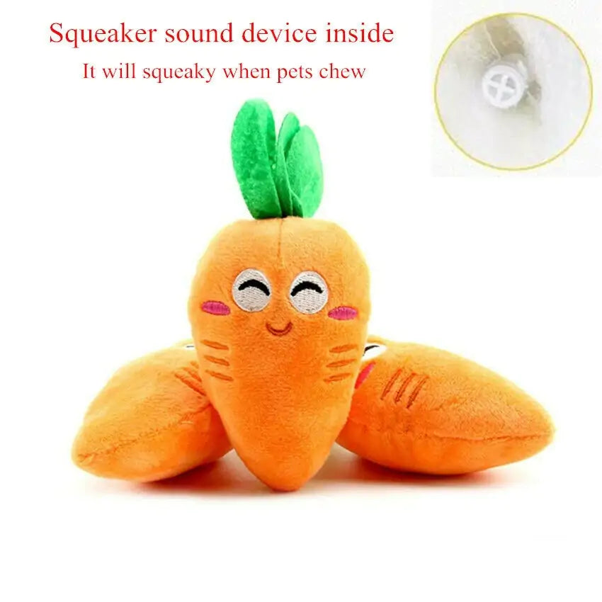 Chew Chew Carrot Toy