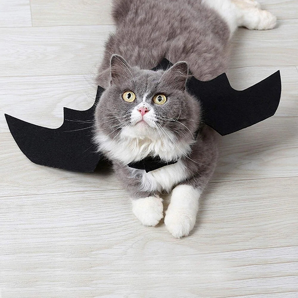 Spooky Black Bat Wings