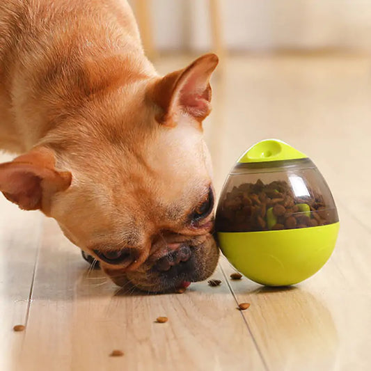 Pets Brain Boost Ball