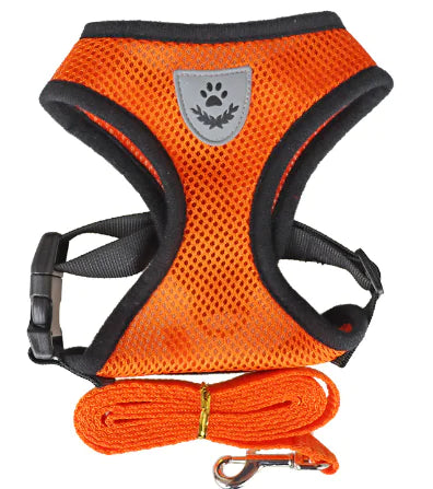 FlexFit Harness Vest