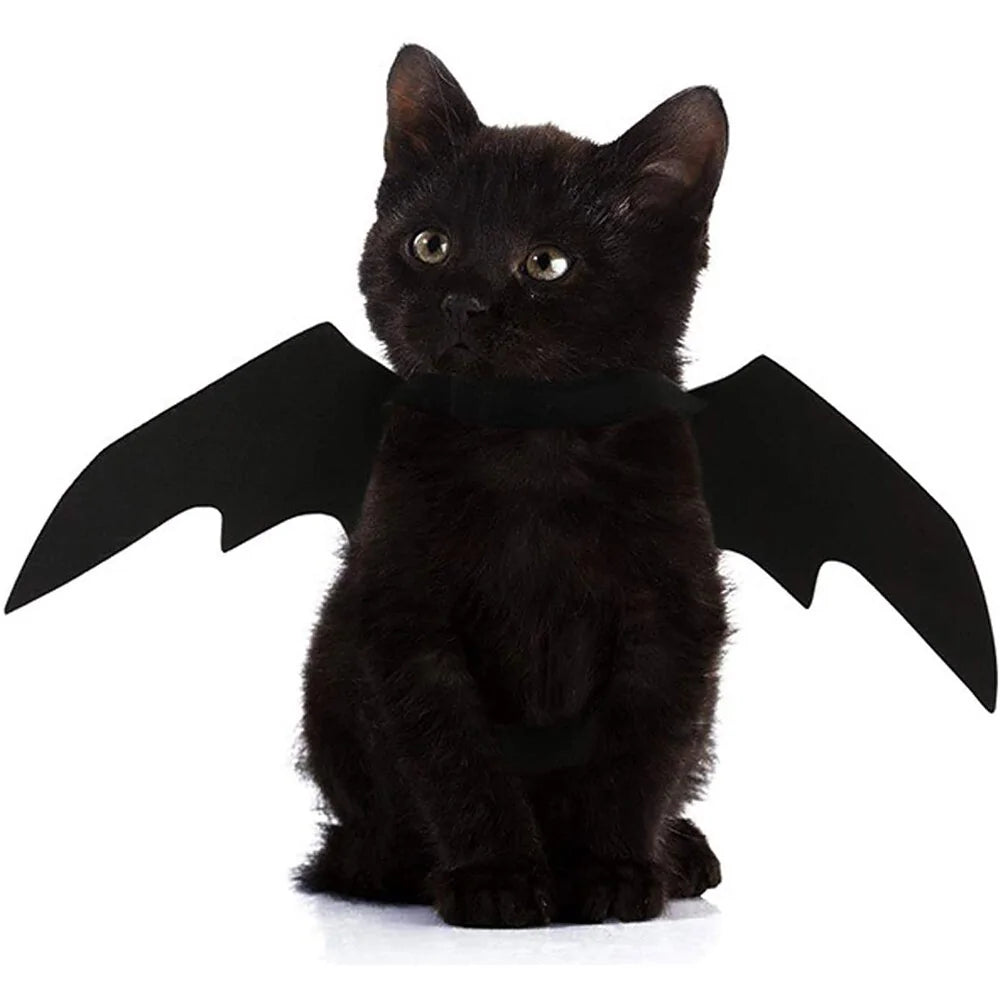 Spooky Black Bat Wings