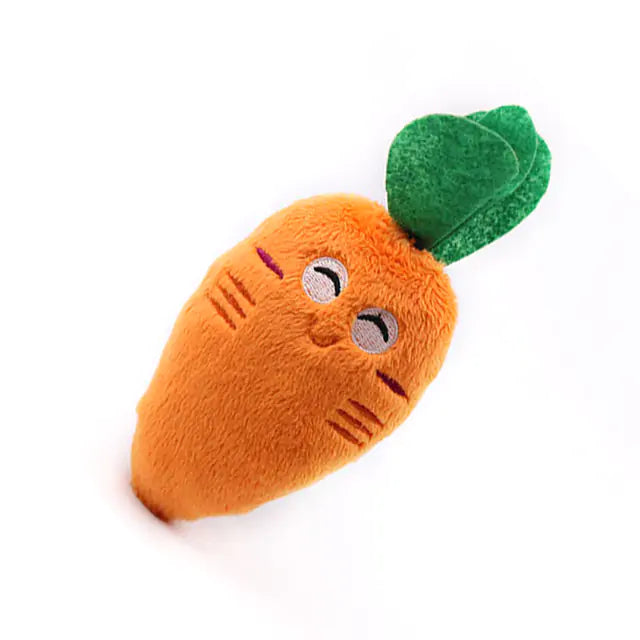 Chew Chew Carrot Toy