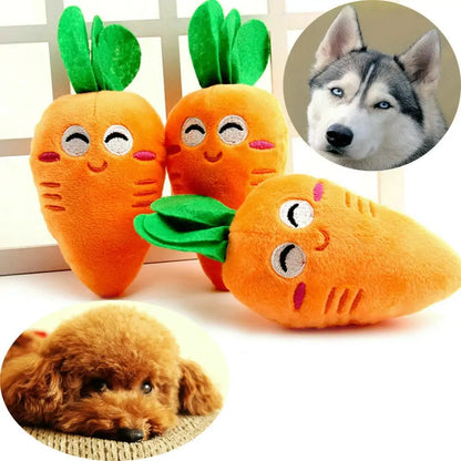 Chew Chew Carrot Toy