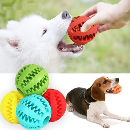 Squeak & Squeeze Chew Toy