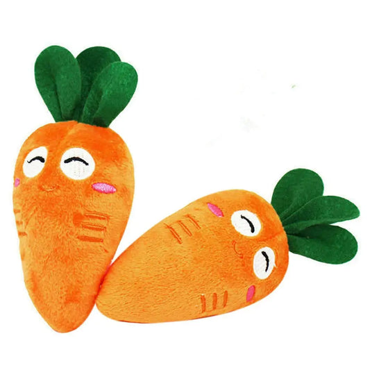 Chew Chew Carrot Toy