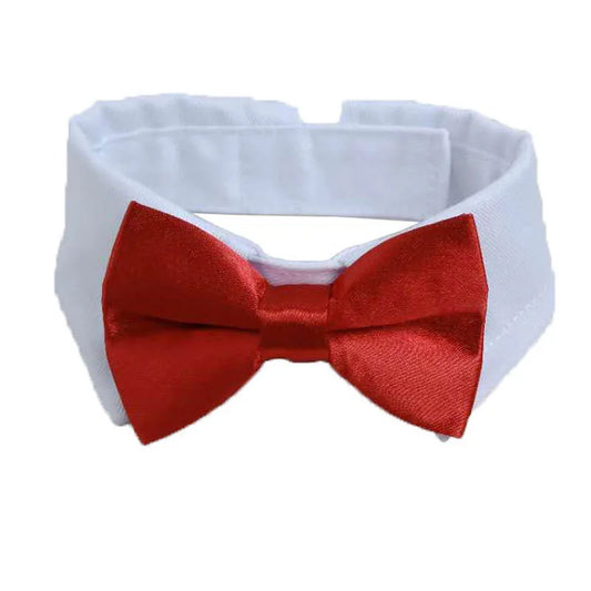 Furry Fashionista Bow Tie