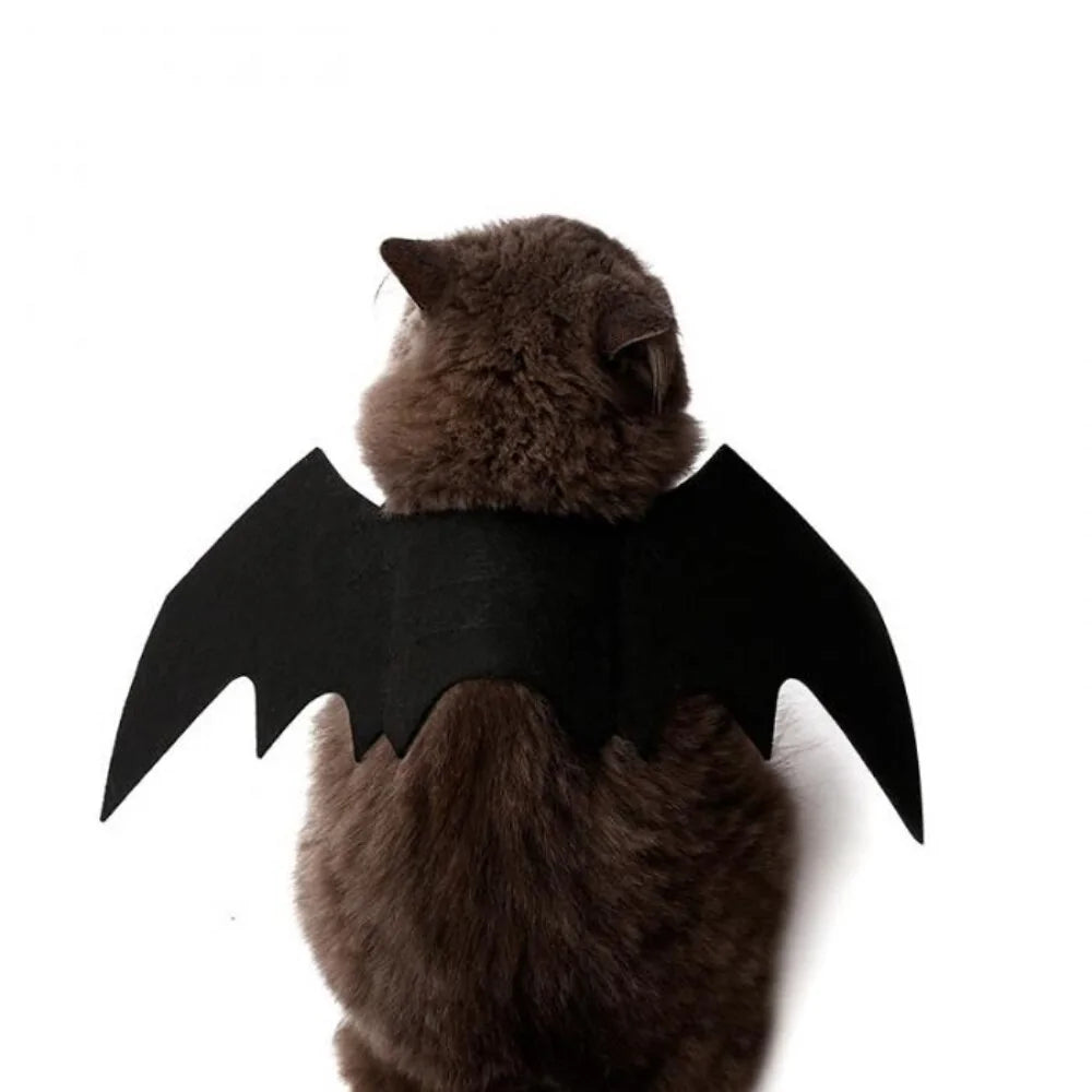 Spooky Black Bat Wings